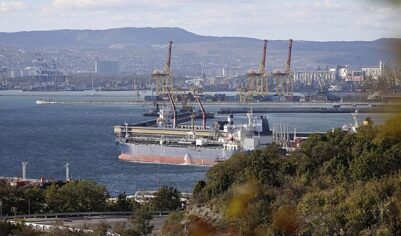 Свыше десяти стран призвали США продлить разрешение на покупку российской нефти