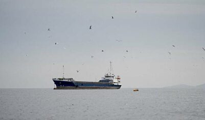 Политолог назвал единственный способ для США разблокировать Ормузский пролив