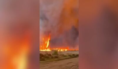 В Нидерландах на артиллерийском полигоне произошел пожар