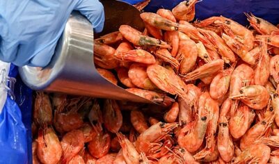 Цены на морепродукты в РФ подскочили до 40%