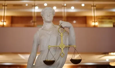 Экс-адвоката осудили за кражу у доверителя 30 млн рублей